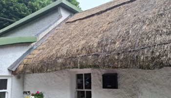  Estancia de inmersión lingüística en casa de Martina - Irlanda - Kilkenny - 4