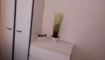  Séjour linguistique en famille d'accueil chez Maria - Irlande - Waterford - 8
