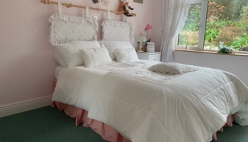 Séjour linguistique en famille d'accueil chez Beatrice à County Wexford en Irlande - 5
