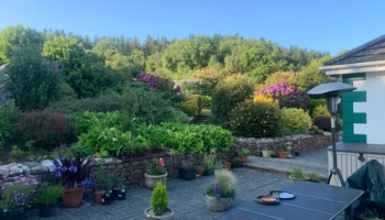 Séjour linguistique en famille d'accueil chez Beatrice à County Wexford en Irlande - 8