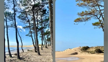 Séjour linguistique en famille d'accueil chez Cecilia à Les Sables-d'Olonne en France - 8