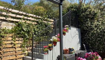 Séjour linguistique en famille d'accueil chez Neil à Newhaven en Angleterre - 10