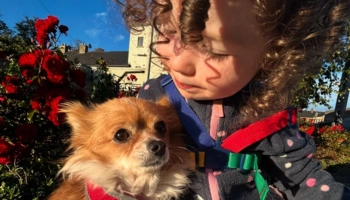 Séjour linguistique en famille d'accueil chez Edel à Cashel en Irlande - 7