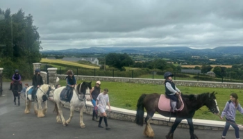 Séjour linguistique en famille d'accueil chez Jackie à County Kilkenny en Irlande - 4