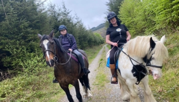 Séjour linguistique en famille d'accueil chez Jackie à County Kilkenny en Irlande - 7