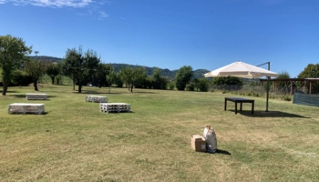 Séjour linguistique en famille d'accueil chez Elisabetta à Emilia-Romagna en Italie - 4