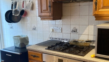 Estancia lingüística en familia de acogida con Suzana en London en Inglaterra - 9