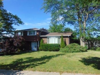  Language Immersion Stay at Nicolae - Canada - Toronto - 4
