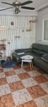  Séjour linguistique en famille d'accueil chez Belinda - Espagne - Alicante - 9