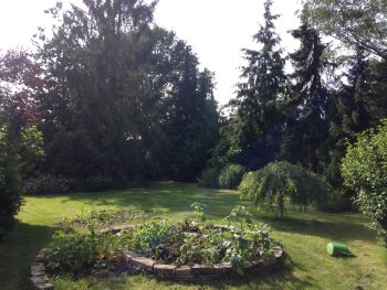  Séjour linguistique en famille d'accueil chez Andrea - Allemagne - Düsseldorf - 4