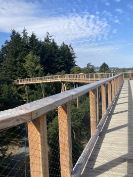  Language Immersion Stay at Karen - Ireland - Gorey - 6