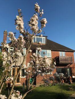  Séjour linguistique en famille d'accueil chez Marlene - Angleterre - Birmingham - 4