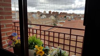  Estancia de inmersión lingüística en casa de Estefanía - España - Madrid - 8