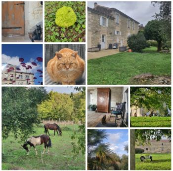  Séjour linguistique en famille d'accueil chez Emma - France - Niort - 5