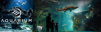  Language Immersion Stay at Emma - France - Niort - 6
