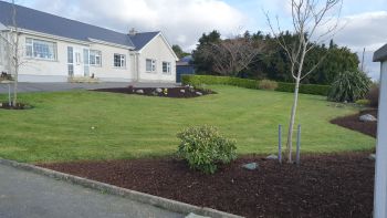 Séjour linguistique en famille d'accueil chez Melissa - Irlande - Wexford - 4