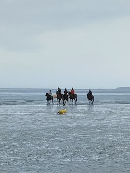  Séjour linguistique en famille d'accueil chez Gaelle - France - Vannes - 10