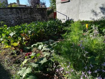  Language Immersion Stay at Rebecca - France - Parthenay - 4