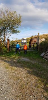  Séjour linguistique en famille d'accueil chez Caroline - Irlande - Westport - 6