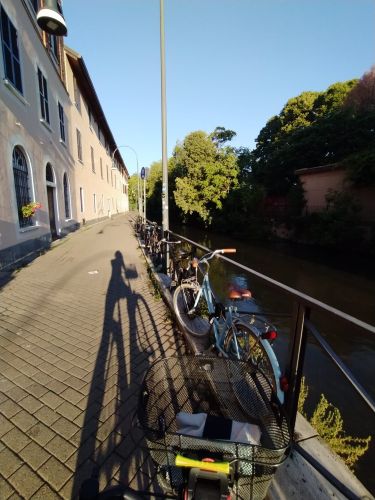  Séjour linguistique en famille d'accueil chez Livia - Italie - Milano - 3