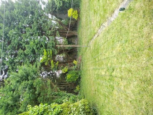  Language Immersion Stay at Mike - Ireland - Galway - 3