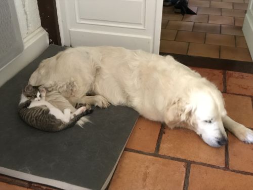  Séjour linguistique en famille d'accueil chez Kelly - France - Bergerac - 2