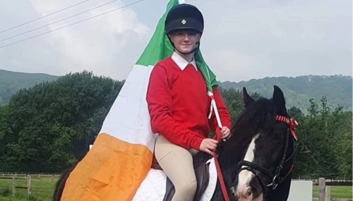  Language Immersion Stay at Catherine - Ireland - Dublin