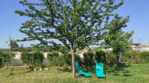  Séjour linguistique en famille d'accueil chez Sophie - France - La Roche-sur-Yon - 3