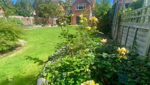  Séjour linguistique en famille d'accueil chez Maria - Angleterre - Londres