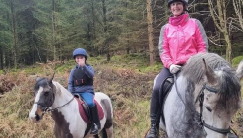  Estancia de inmersión lingüística en casa de Evelyn - Irlanda - Clonmel