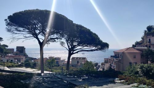  Language Immersion Stay at Stefania - Italy - Salerne - 2