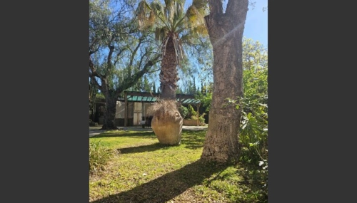  Séjour linguistique en famille d'accueil chez Estela - Espagne - Tarragona