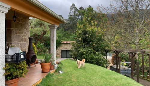  Estancia de inmersión lingüística en casa de Mary - España - Vigo - 2