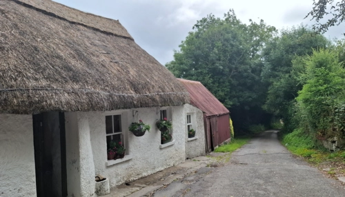  Estancia de inmersión lingüística en casa de Martina - Irlanda - Kilkenny - 3