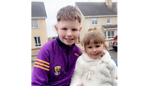  Language Immersion Stay at Melissa - Ireland - Wexford - 2