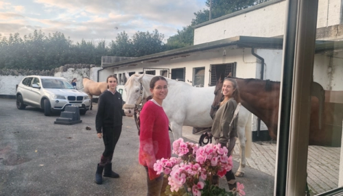  Séjour linguistique en famille d'accueil chez Roisin - Irlande - County Kilkenny