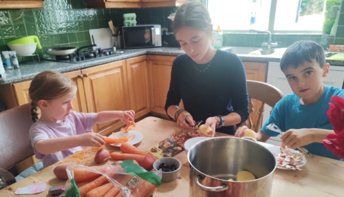  Séjour linguistique en famille d'accueil chez Roisin - Irlande - Comté de Kilkenny