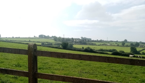  Séjour linguistique en famille d'accueil chez Maria - Irlande - Waterford - 3