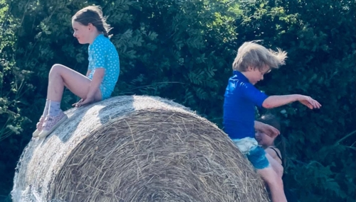  Language Immersion Stay at Joanne - Ireland - Dublin