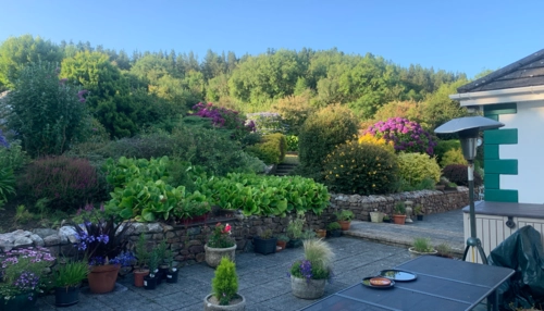  Estancia de inmersión lingüística en casa de Beatrice - Irlanda - Waterford