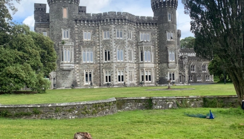  Estancia de inmersión lingüística en casa de Beatrice - Irlanda - Waterford