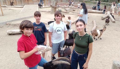  Soggiorno di immersione linguistica a Angeles - Spagna - Madrid