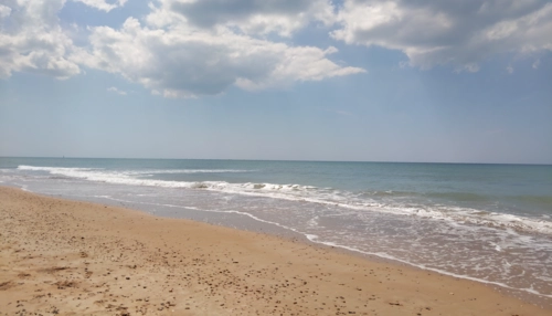 Séjour linguistique en famille d'accueil chez Cecilia à Les Sables-d'Olonne en France - 2