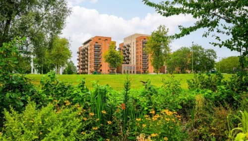  Language Immersion Stay at Presila - United Kingdom - London