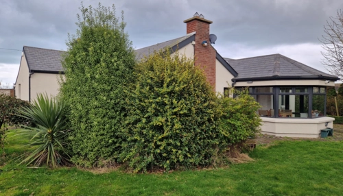  Séjour linguistique en famille d'accueil chez Shirley - Irlande - Balbriggan