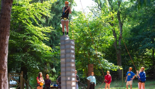  Soggiorno di immersione linguistica a New forest summer camp - Inghilterra - Southampton