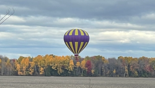  Séjour linguistique en famille d'accueil chez Danuzia - Canada - Ottawa