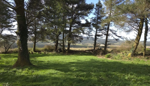 Séjour linguistique en famille d'accueil chez Mary à County Clare en Irlande - 2