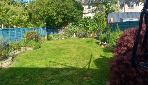  Language Immersion Stay at Tracy - Scotland - Edinburgh