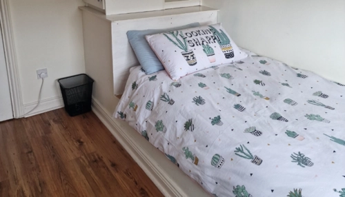  Séjour linguistique en famille d'accueil chez Carolina - Irlande - Dublin
